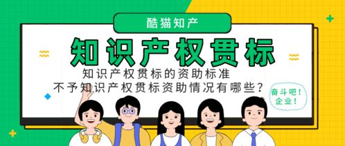 知識產權貫標資助標準與不資助情況解析